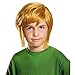 Disguise Link Child Wig Costume