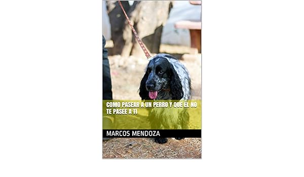 Como Pasear A Un Perro Y Que él No Te Pasee A Ti Spanish - 