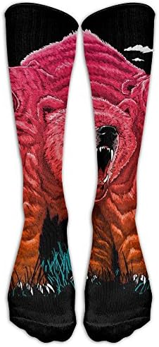 Novelty Trippy Three Haed Bear Men Fashion Compression Socks