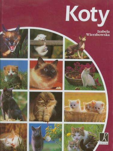 Koty (polish)