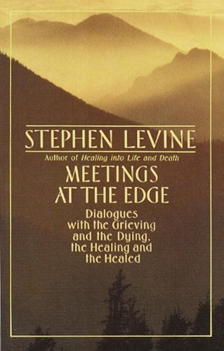 Download Meetings at the Edge: Dialogues with the Grieving and the Dying, the Healing and the Healed (English Edition) PDF