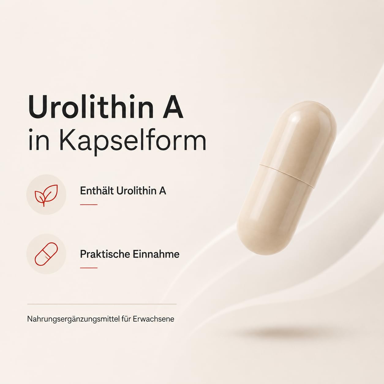 Urolithin A Kapseln 500 mg, 60 vegane Kapseln 5