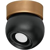 Troy Lighting C1406-PBR/SBK Odin - 1 Light Flush Mount 5.5 inches Tall and 5.5 inches Wide - Patina Brass/Soft Black Finish