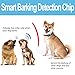 No Bark Collar S / M / L , No Shock Vibration & Sound Humane Training Device , Control Your Pet With Anti Barking Dog Collars