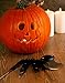 Pumpkin Carving Tools Kit - 37 PIECES - 30 STENCILS - 5 TOOLS - 2 LIGHTS - Pro Level Stainless Steel Pumpkin Carving Kit Tools Set