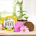 BUZZY Save The Bees Pollinator Grow Kit Cosmos Best Gardening Gifts, Favors, Parties, Events, Unique, and Fun | Growth Guaranteed (Cosmos)