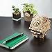 ROKR 3D Wooden Puzzles DIY Music Box Kit