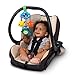 Baby Einstein Musical Glow & Go