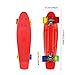 Complete Skateboards, RockBirds 22