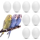 WOLEDOE 8Pcs Fake Bird Eggs Stop Egg Laying Budgie Parakeet Dove 14x19mm | Fits Parrotlet Diamond Dove Small Parrots
