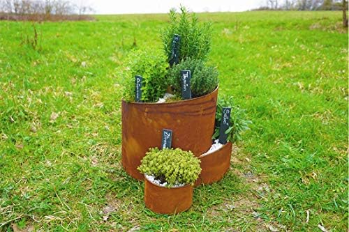 Novaliv – Espiral de Hierbas, óxido Natural, Caracol para Plantas ...