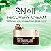 Korean Cosmetics Deoproce Snail Recovery Cream, Snail Mucus Effect, Nutrition for rough skin, Multi functional Cream, Whitening, Anti wrinkle, Deep moisturizing (Snail Recovery Cream)
