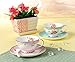 Jusalpha Vintage Rose Bone China Teacup Spoon and Saucer Set TCS03