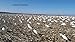 Sillosocks Snow Goose Feeder Decoy (12-Pack), White