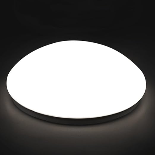 10 Inch 12w Daylight Ceiling Fixtures Illuminaire Led Indoor