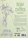 Image de Big Book of Plant and Flower Illustrations (Dover Pictorial Archive)
