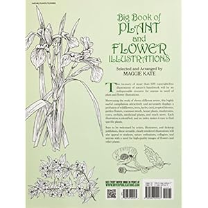 Big Book of Plant and Flower Illustrations (Dover Pictorial Archive)