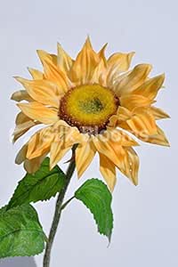 Semilla de Girasol Artificial de melocotón Fresco al Tacto: Amazon.es