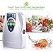 Robolife Ozone Generator Air Purifier Disinfector Air Water Sterilizer Fruits Vegetables Sterilization Ozonator