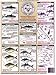 Tightlines Big Game Bait Rigging Circle Hooks 6