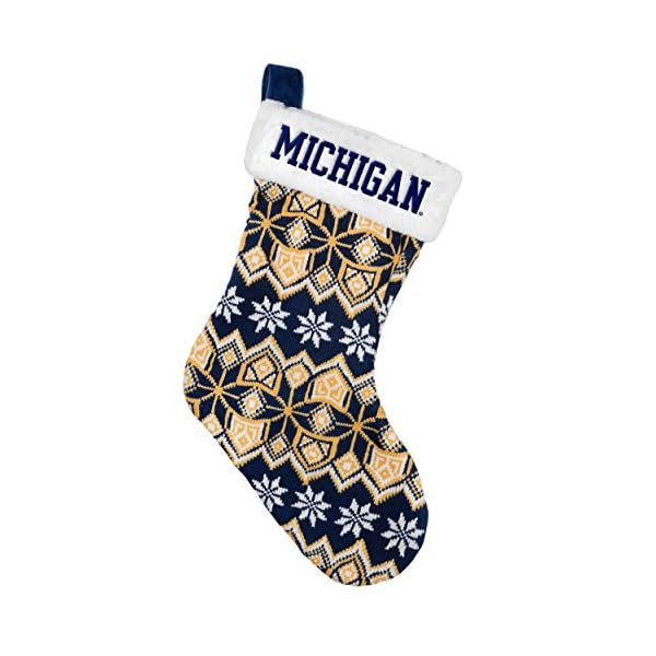 Team Beans, L.L.C FB15CMIST Michigan 2015 Knit Stocking, Multicolor