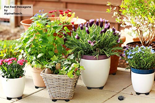 AlpineReach Pot Feet Hexagons 12 Pack - Protect Healthy Plants - Strong Invisible Risers Supports Small to Large Flower Planters with Increased Stability - Outdoor Lifter Toes Elevators Adhesive Pads