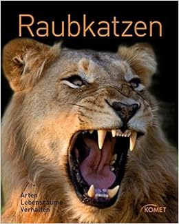 Raubkatzen Arten Lebensraum Verhalten Amazon De Hans W Dr Kothe Bucher