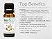 Biofinest German Chamomile Essential Oil - 100% Pure Undiluted, Premium Organic Therapeutic Grade - Best for Aromatherapy, Sleep, Skin Health, Ease Stress Anxiety Pain Flu Cold - FREE E-Book (10ml)