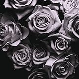 WITH LOVE (DLCD)                                   image