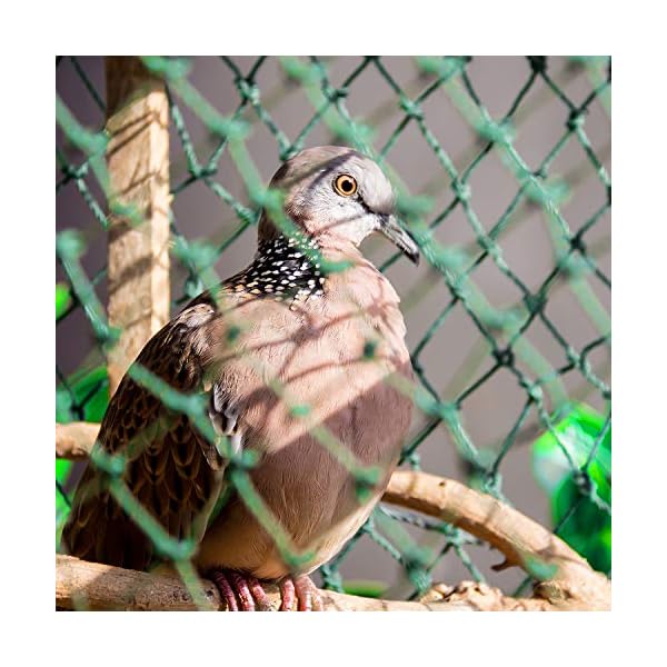 4-M-x-10-M-Anti-Bird-Protection-Net-Garden-Plant-Mesh-Netting-Fruit-Trees-Netting-with-Cable-Ties-and-U-Shaped-Garden-Pegs-Green Birds Netting Garden Green Anti Bird Protection Net for Fruit and Vegetables Plant Tree Mesh Netting Against Animals…