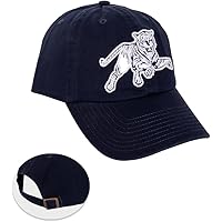 DePauw University Tigers Baseball Cap - Desert Cactus Officially Licensed Adjustable Embroidered Hat