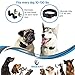 Dog Bark Collar [Early 2018] Small Large Dogs 10-120 Lbs - Shock and/or Vibration - Most Reliable and Safe No Bark Collar - 9 Sensitivity Levels - 2 Intelligent Programs - Stop Dog Barking Collar