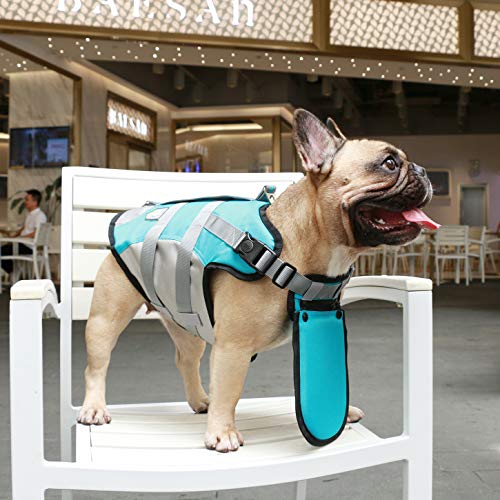 iChoue Dog Life Jackets Saver Swimming Vest Floating Plate for Small