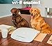 Feed and Go Smart Pet Feeder 2018 Model Now With iOS/Android Apps. Built In Webcam. For Wet/Dry Food, Treats & Meds.