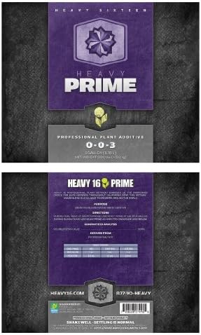 Heavy 16 Prime Concentrate Quart (1L)