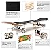 ChromeWheels 31 inch Skateboard Double Kick Skate Board Cruiser Longboard 8 Layer Maple Deck Skateboards for Kids and Beginners