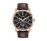 Citizen Men's Eco-Drive Rose Goldtone Multifunction Strap Watch