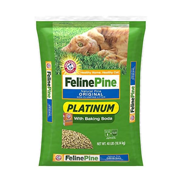 clumping pine cat litter