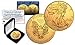 2018 1 Oz 999 Fine Silver American Eagle $1 Coin 24K Gold Gilded with BOX & CERT