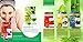 Vaadi Herbals Fairness Cream With Saffron, Aloe Vera And Turmeric Extracts Improves Skin Complexion All Formula Completely Therapeutic Cream Made With Orange And Lemon Peel Suitable For All Skin