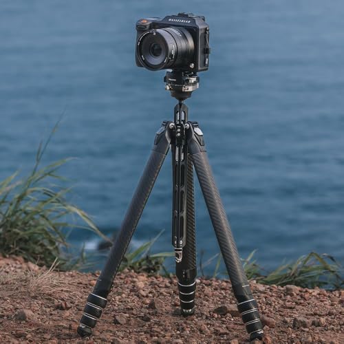Falcam TreeRoot F38 Pro Carbon Tripod, 61 Inch Quick Release Travel Tripod with 360° Ball Head, 5 kg Load Capacity, F22 Interfaces, 1/4 Inch Screw, Strap Holes for DSLR, Mirrorless and Video Cameras