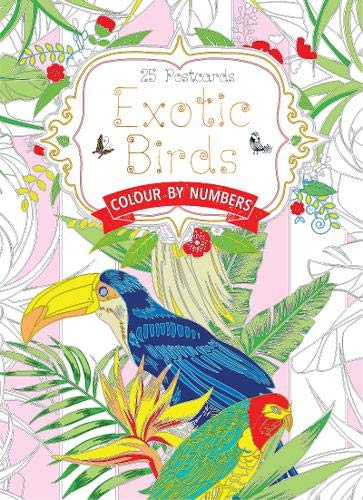 Amazon Com Exotic Birds Postcard Book Colour By Numbers Colouring Postcard Books 9781786640550 Seal Daisy Books