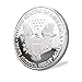 E-Coin Donald Trump US Presidential Trump Challenge Coin Eagle Commemorative Silver Plated In God We Trust Collection Item