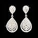 ACCESSORIESFOREVER Bridal Wedding Jewelry Beautiful Dazzle Crystal Dangle Fashion 3D Earring Silver