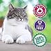 Pet Shampoo with Oxygene® By Oxyfresh, 8 Oz. - Relieves Skin Irritation - Conditions Great - Perfect for Sensitive, Dry, and Ithcy Skin - Good for Normal Skin - Premium High Quality - Silk Amino Acids - Vitamin E - Keep Your Dog or Cat Beautiful, Happy, Healthy, Clean and Smelling Fresh!