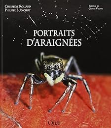 Portraits d'araignées