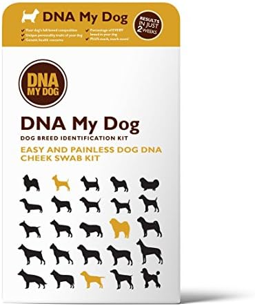 Dna My Dog - Canine Breed Identification Test Kit - At-Home Cheek Swab Kit - Personality Traits