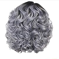 Akabsh_beauty Women Fashion Full Shoulder Length Small Curly Wig,Silver Grey Supple Wave Splice Hairpiece