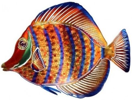 Next Innovations WA3DMANGELFISHSTRIPE CB Angelfish Stripe Refraxions 3D Wall Art
