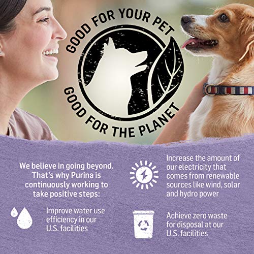 PURINA BEYOND GRAVY, BEEF, CHICKEN OR TURKEY IN GRAVY GROUND ENTREE GRAIN FREE WET DOG FOOD VARIETY PACK – (PACK OF 6) 12.5 OZ. CANS